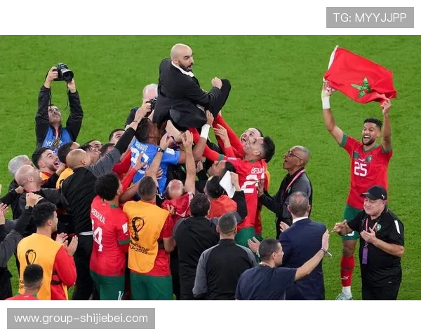 详细解析世界杯名额分配的历史沿革及未来可能的调整方向